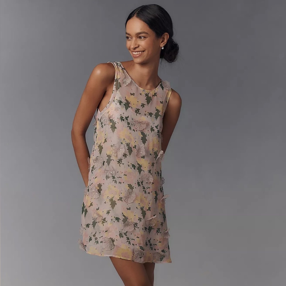NWT! Pinnacle by Shruti Sancheti Sheer Floral Dress - Size XL 🎹